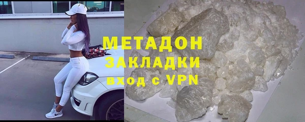 стаф Алзамай