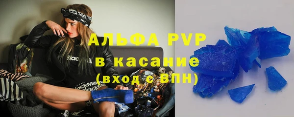 стаф Алзамай