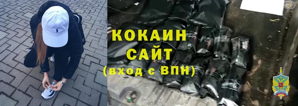 тгк Алексин