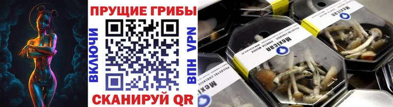 дарнет шоп  Лиски  это клад  Псилоцибиновые грибы мухоморы 