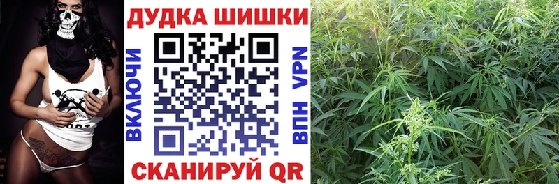 Бошки марихуана планчик  Лиски 